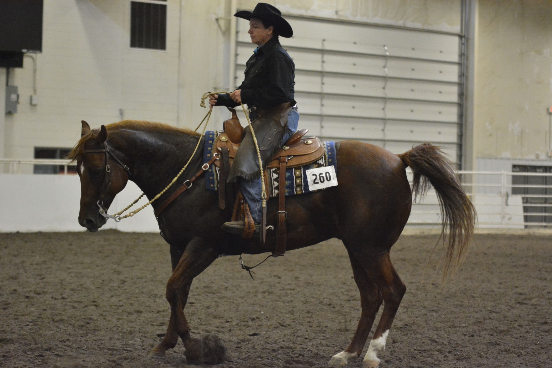 7-28-19 Ropin & Lopin (117).JPG